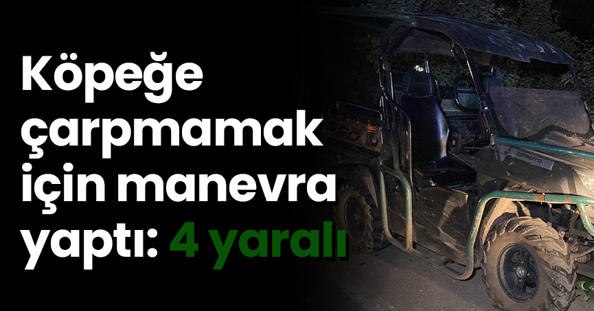 Köpeğe  çarpmamak için manevra yaptı: 4 yaralı