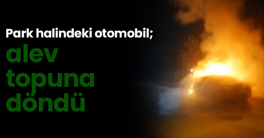 Park halindeki otomobil alev topuna döndü