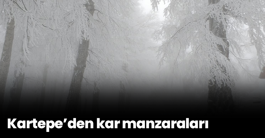 Kartepe’den kar manzaraları