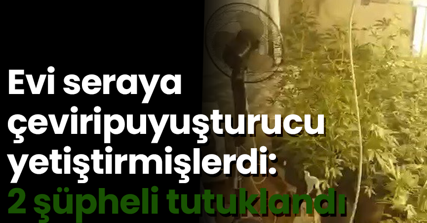 Evi seraya çevirip uyuşturucu yetiştirmişlerdi: 2 şüpheli tutuklandı
